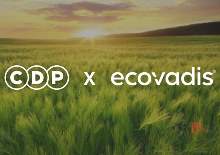 CDP集团荣获EcoVadis铜牌认证，以责任践行可持续发展